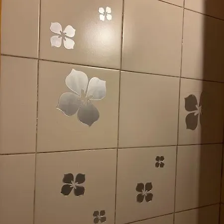 Appartement Minimal Con Travi A Vista Piacenza